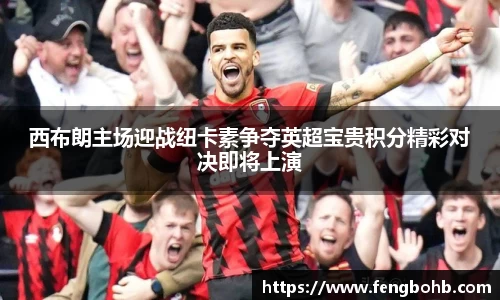 谈球吧app